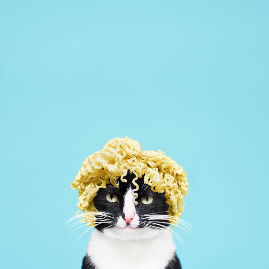 cheeto