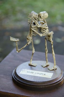 costume_trophies