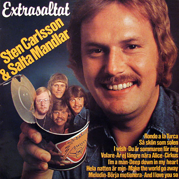 funny-swedish-band-covers-31-5addca82bce62__700
