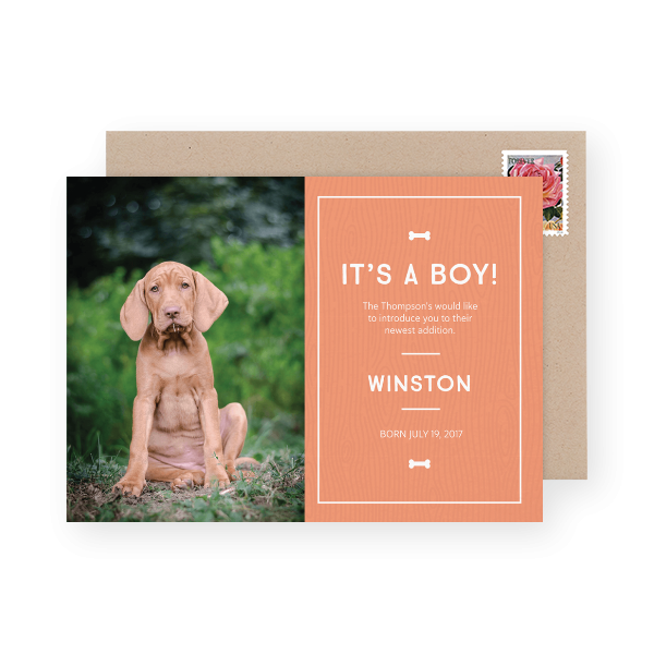 18 PUPPY ANNOUNCEMENTS & QUIRKY PUPPY NAMES FOR YOUR NEW FURRY FRIEND