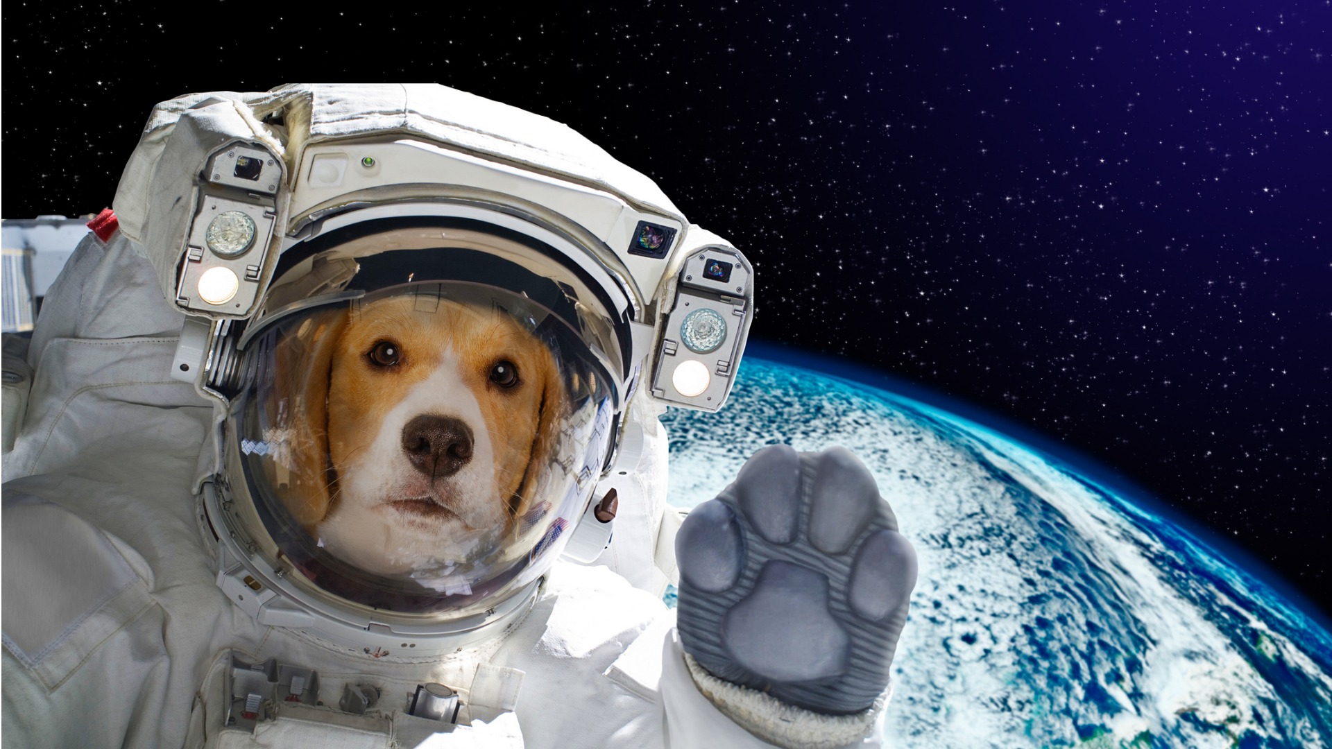 portrait-of-a-dog-astronaut-in-space-on-background-of-the-globe-of-picture-id898916798 (1)