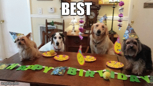make your best friend's birthday the best