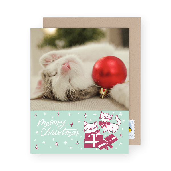 funny christmas card photo ideas with cats